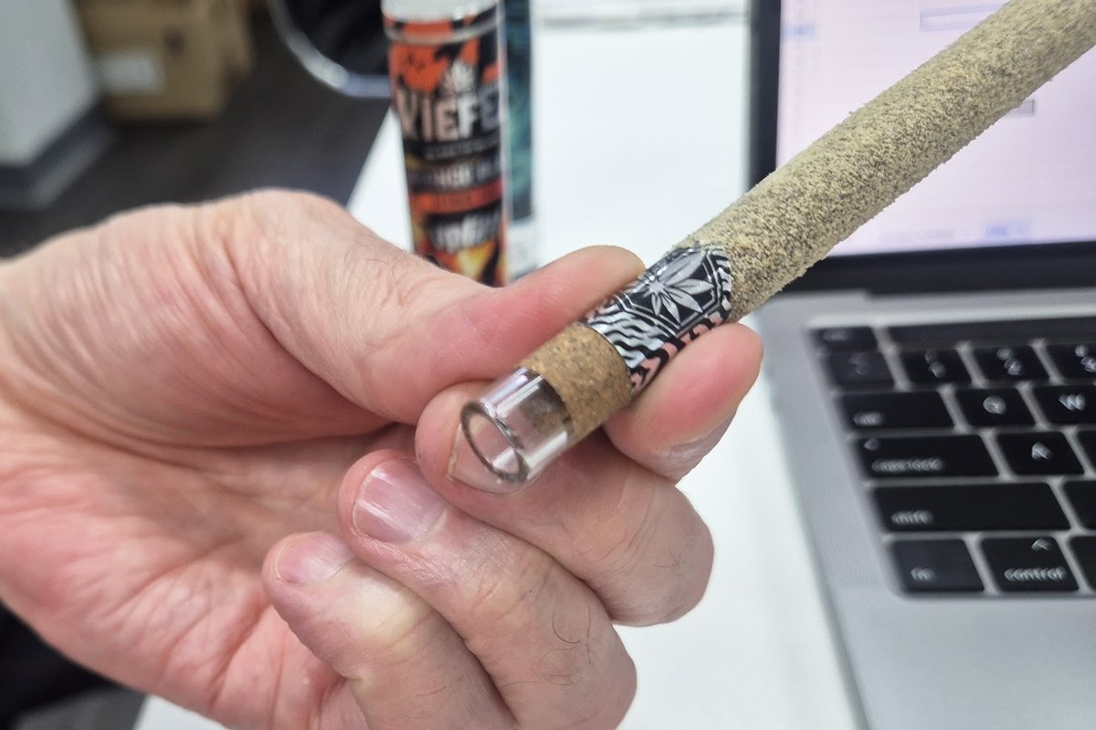 Kei | 日本文化を大切にする大麻盆栽家 tweet media