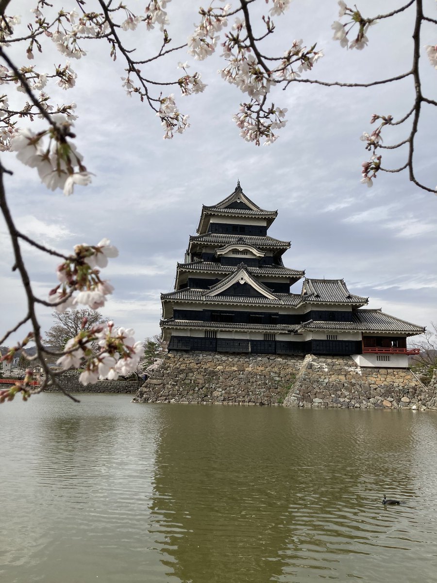 marie family tweet media