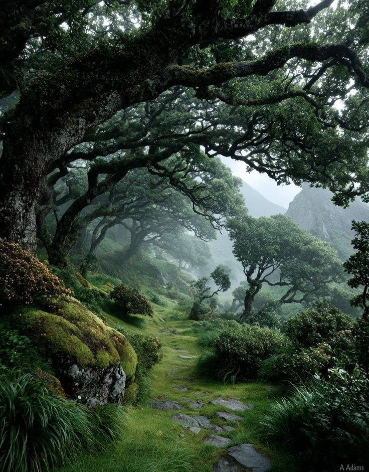 Earth 🍃 tweet media