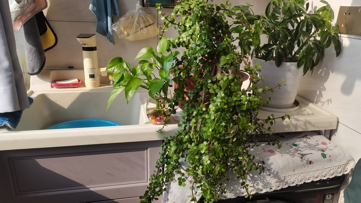 subbu_bv@yahoo.com tweet media