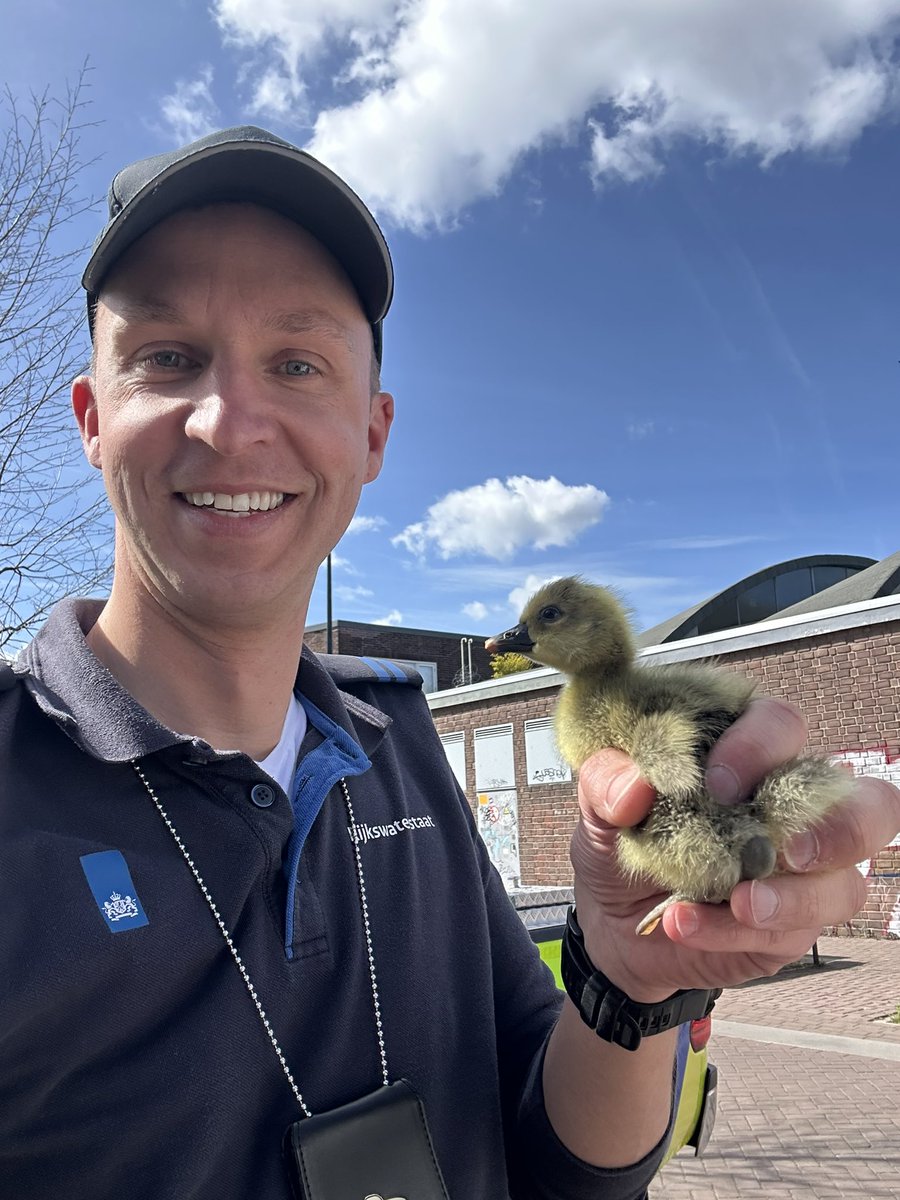 Weginspecteur William tweet media