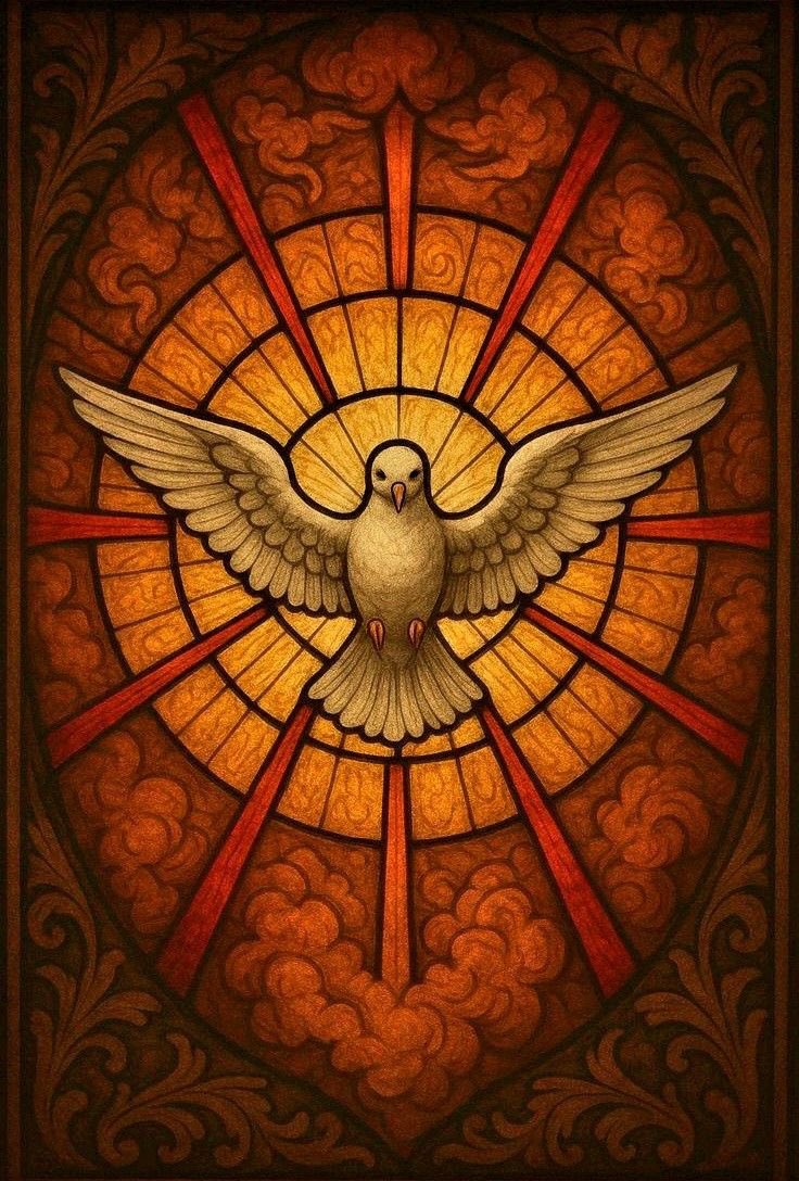 rafa devota dos franciscanos tweet media