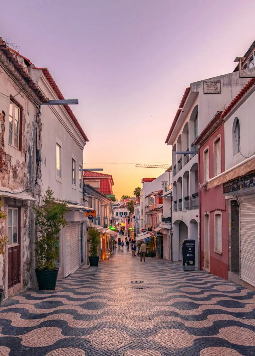 My Beautiful Country 🇵🇹 tweet media