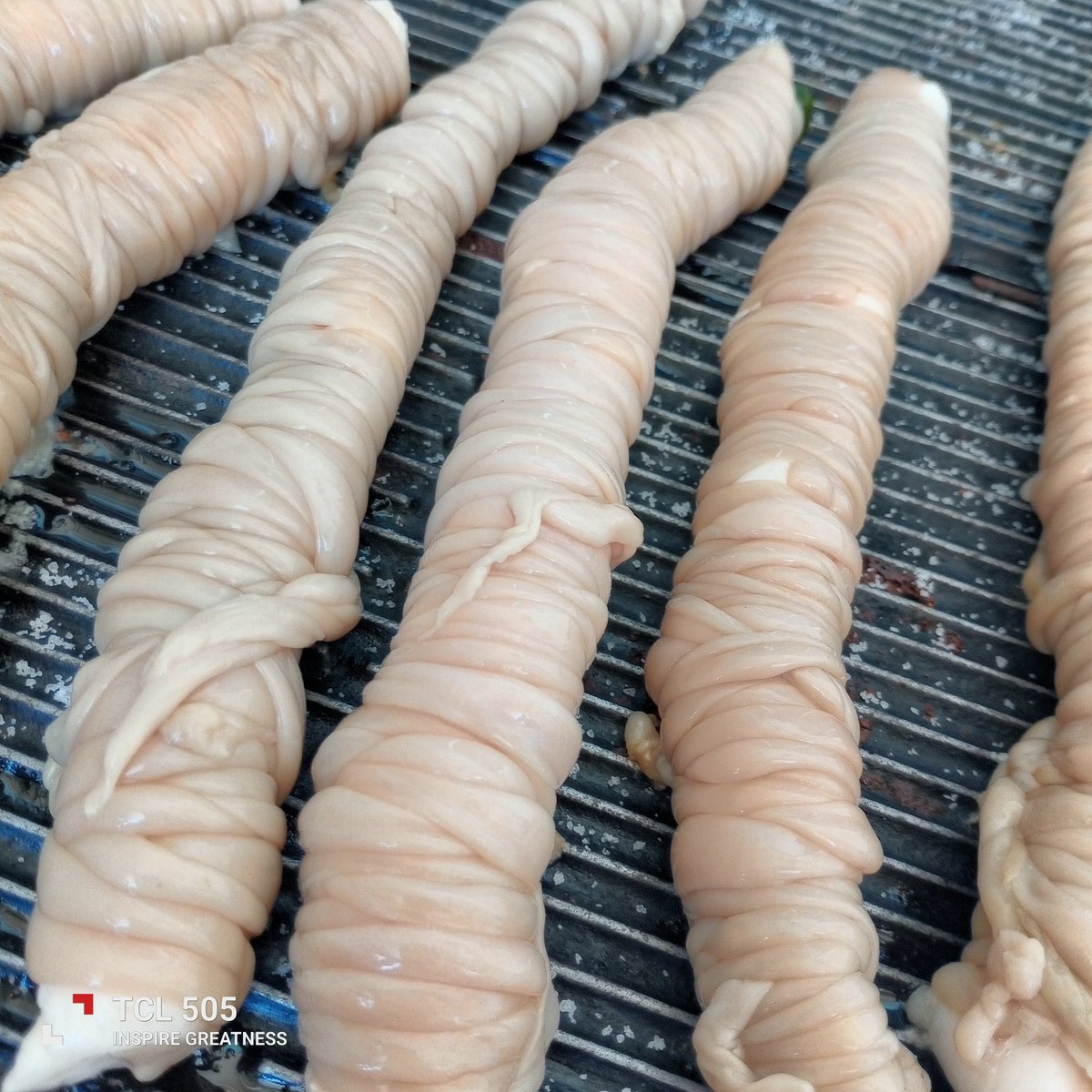 reginarusul ☀️☀️🌊⛱️🐬 tweet media