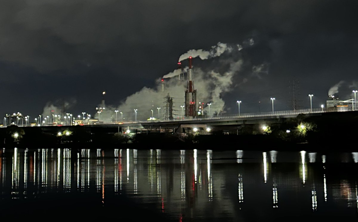 フレさん tweet media