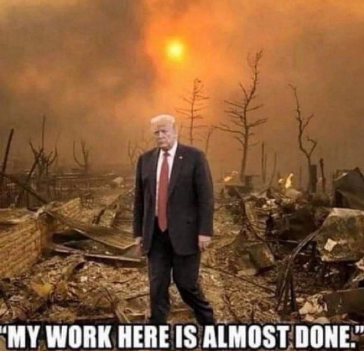 Sense and Nonsensiblity tweet media