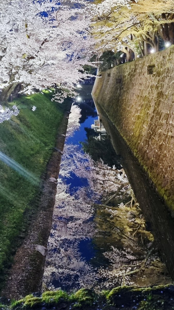 만두버스킹🎉 tweet media