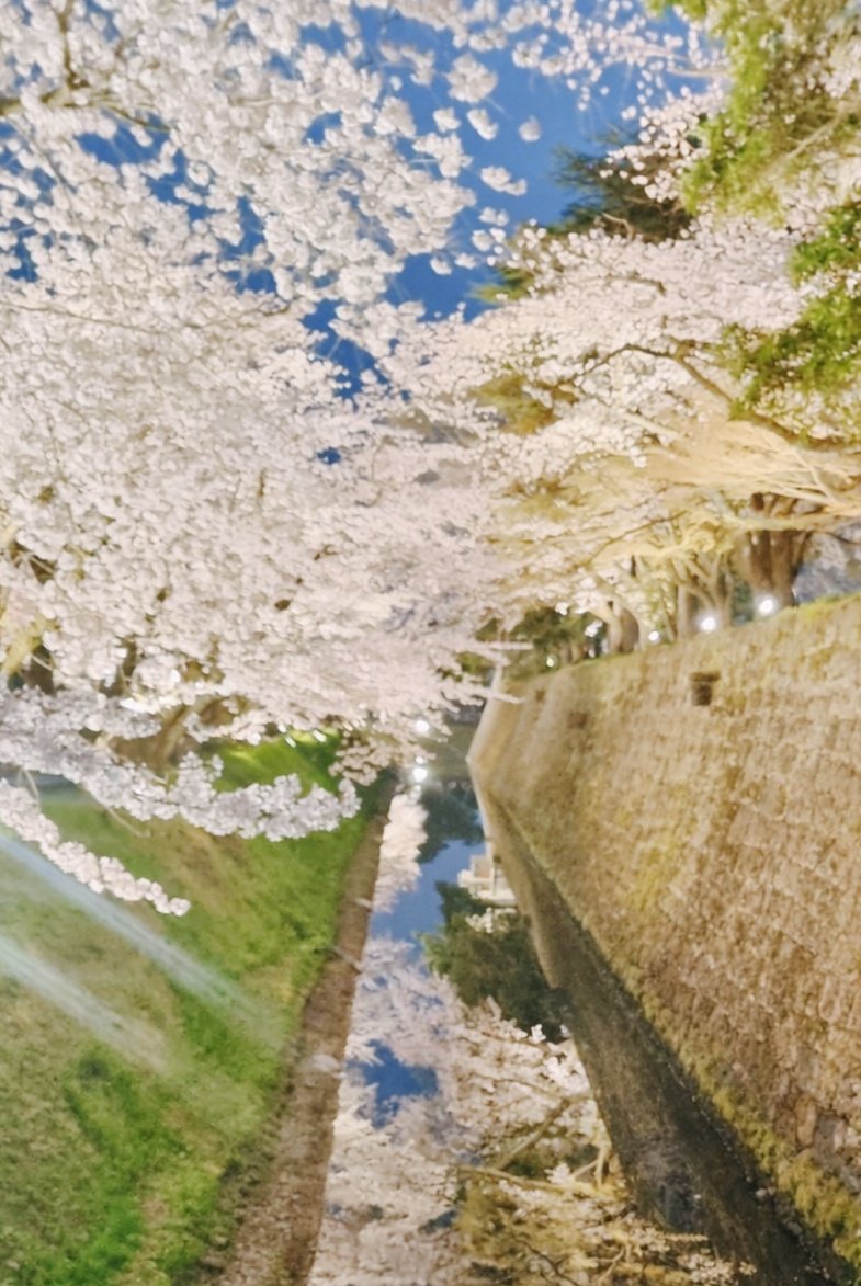 만두버스킹🎉 tweet media