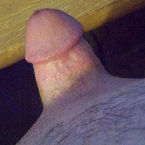 microboyjay tweet media