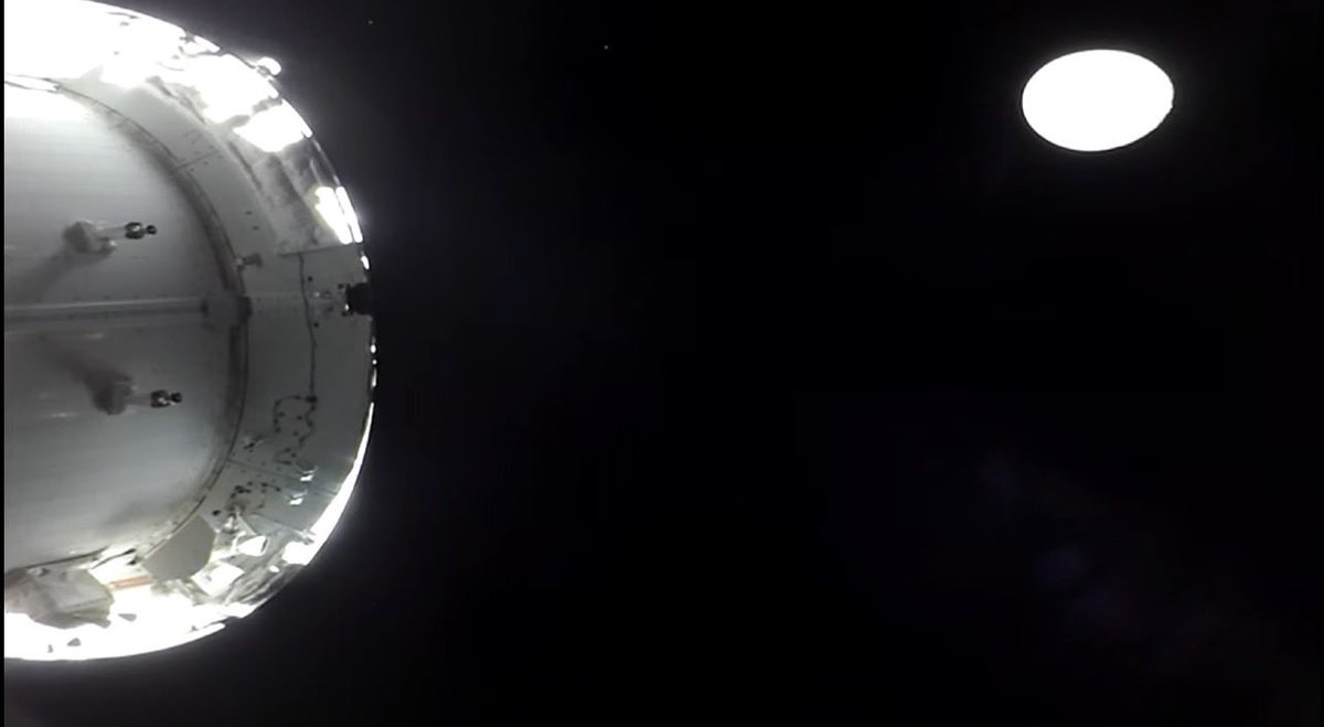 Кукуруза как у томакруза 🌽 tweet media