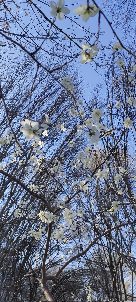 gbdst(互fo) tweet media