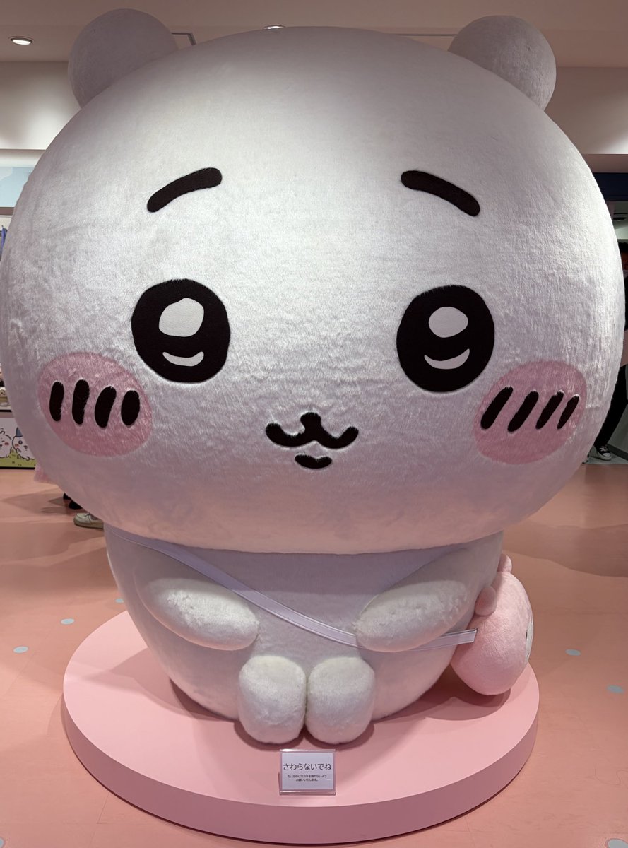 ひなまる☺︎ tweet media