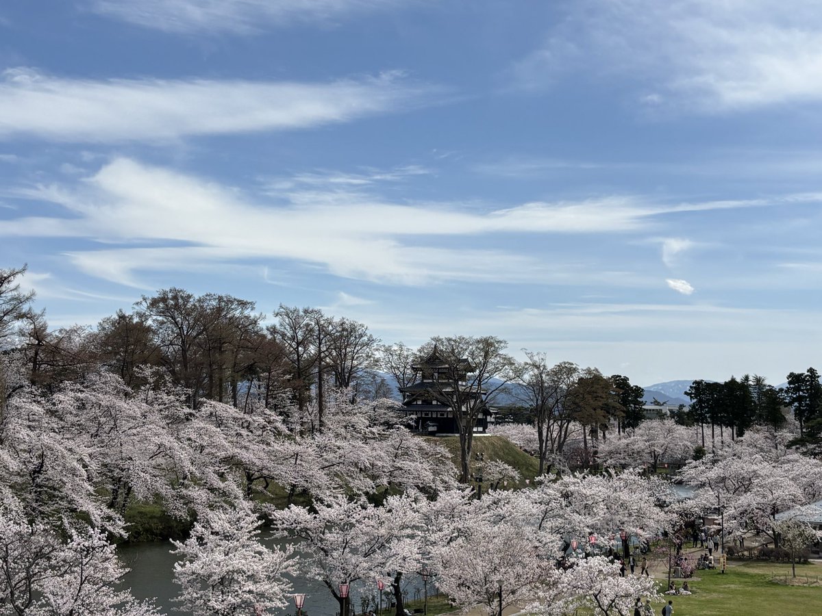 こんばんは😃🐈

今年も🌸見れて良かった〜💕

来年までファイト❣️😊

＃高田城址公園
＃観桜会