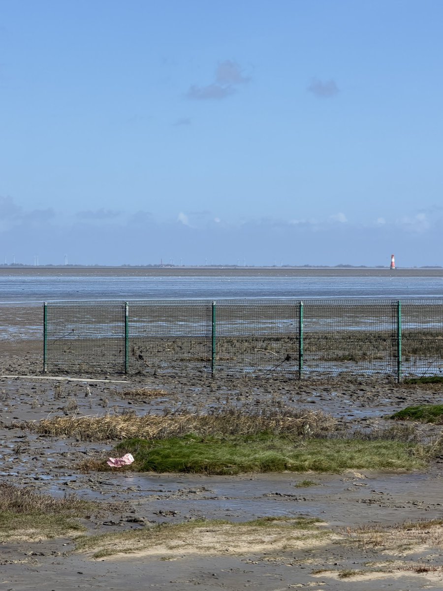 Don´t Know tweet media