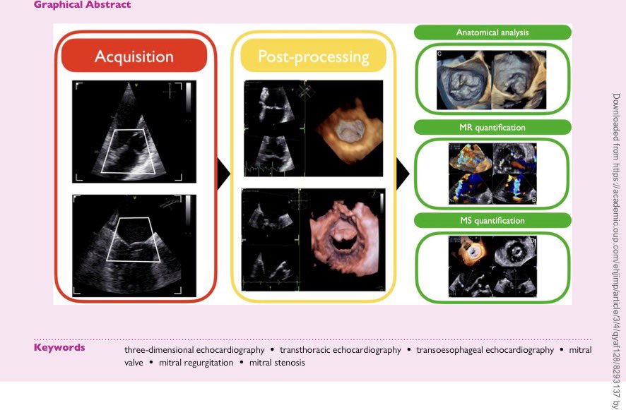 Jorge Faerron tweet media