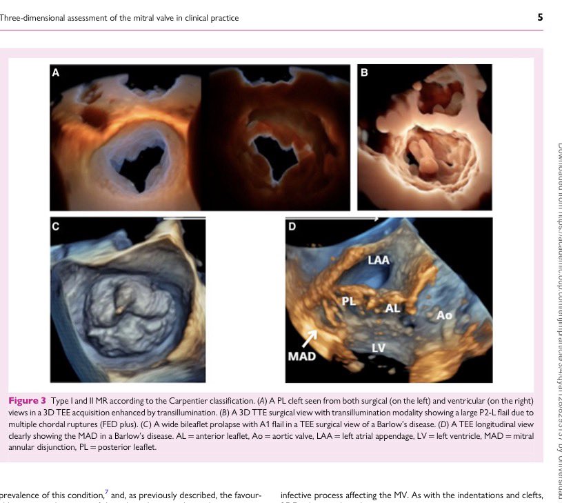 Jorge Faerron tweet media