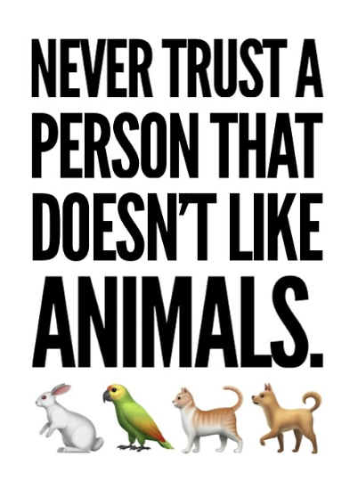 Karin Schroeck-Singh tweet media