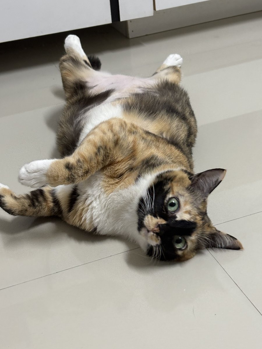 เด็กดีน้องเคธี่💙 tweet media