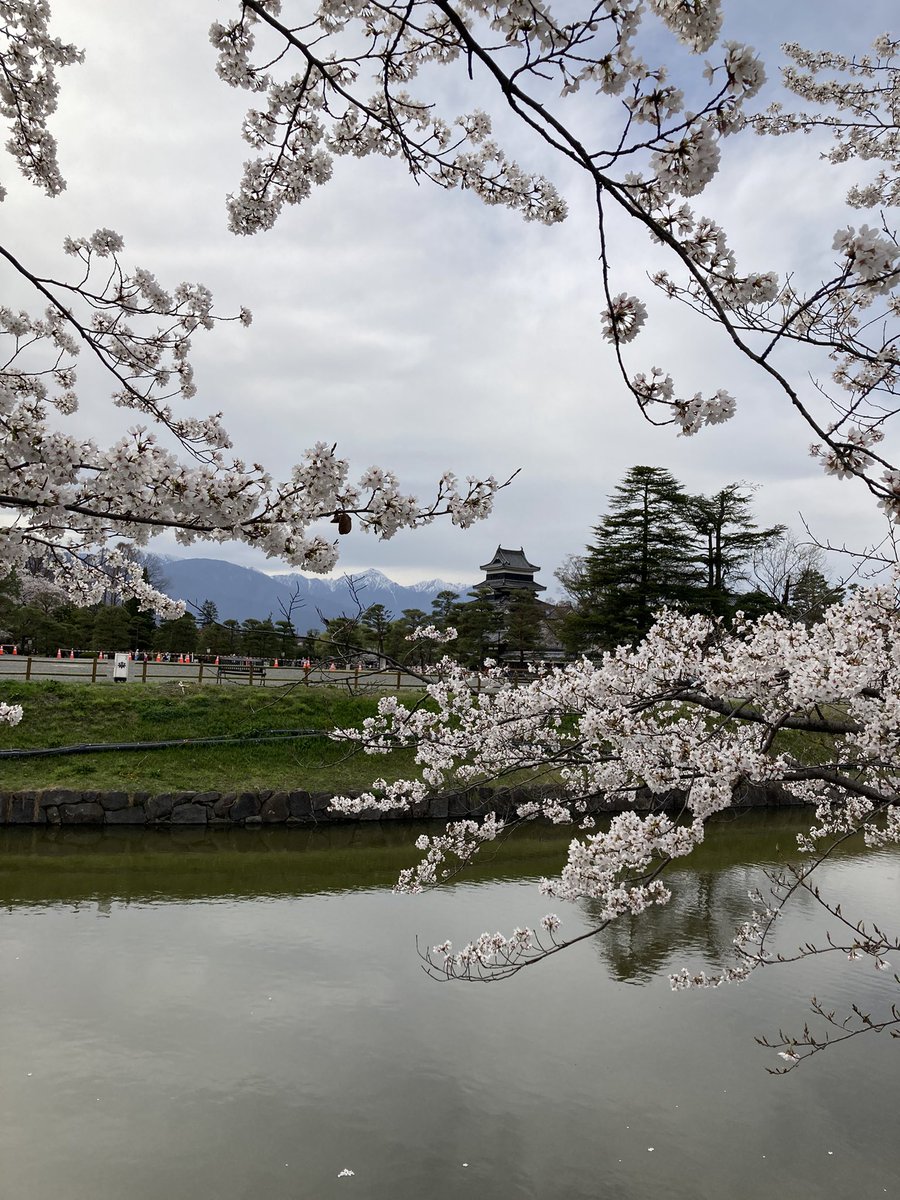 marie family tweet media