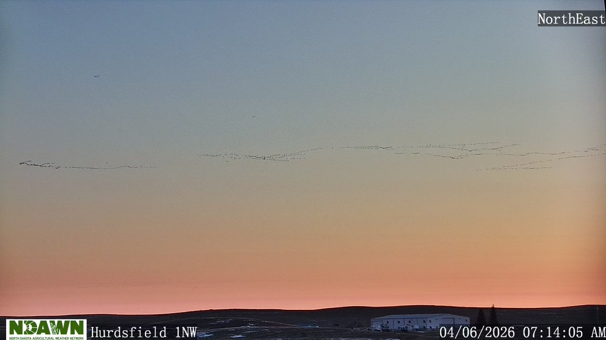 Daryl Ritchison tweet media