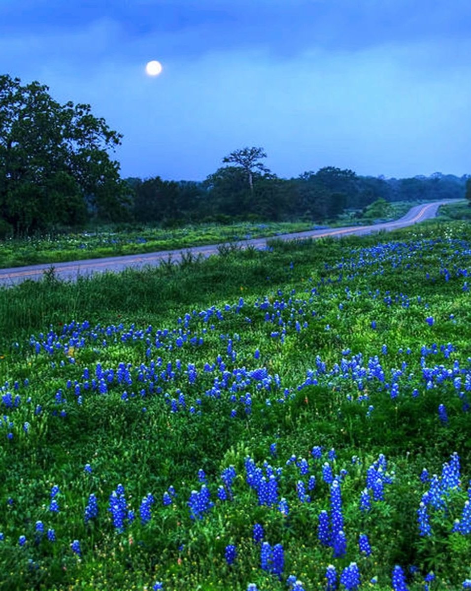 Tina Koskima 🕊️ tweet media