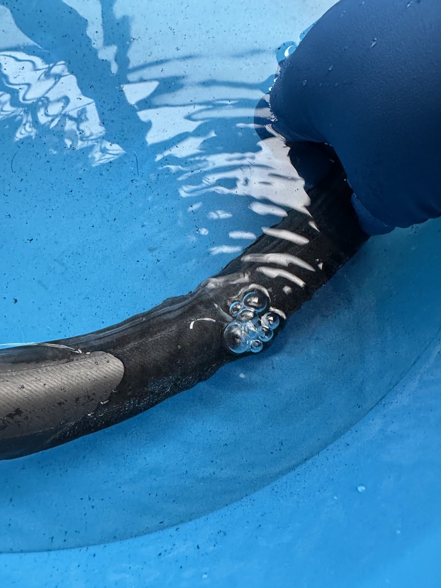 マツGORI🧰🪛🛠️🏎️ tweet media