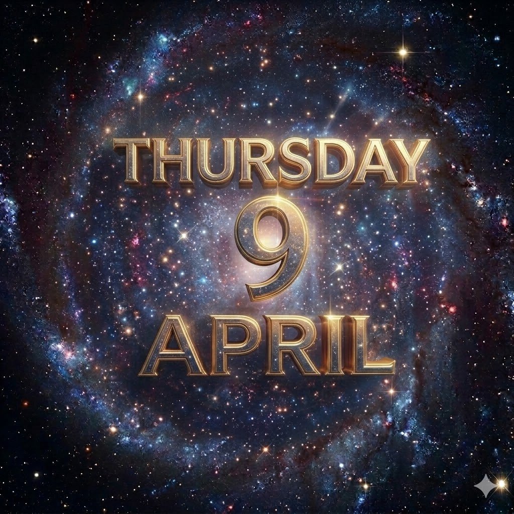 Joe Betman 🇨🇷 🇫🇷 tweet media