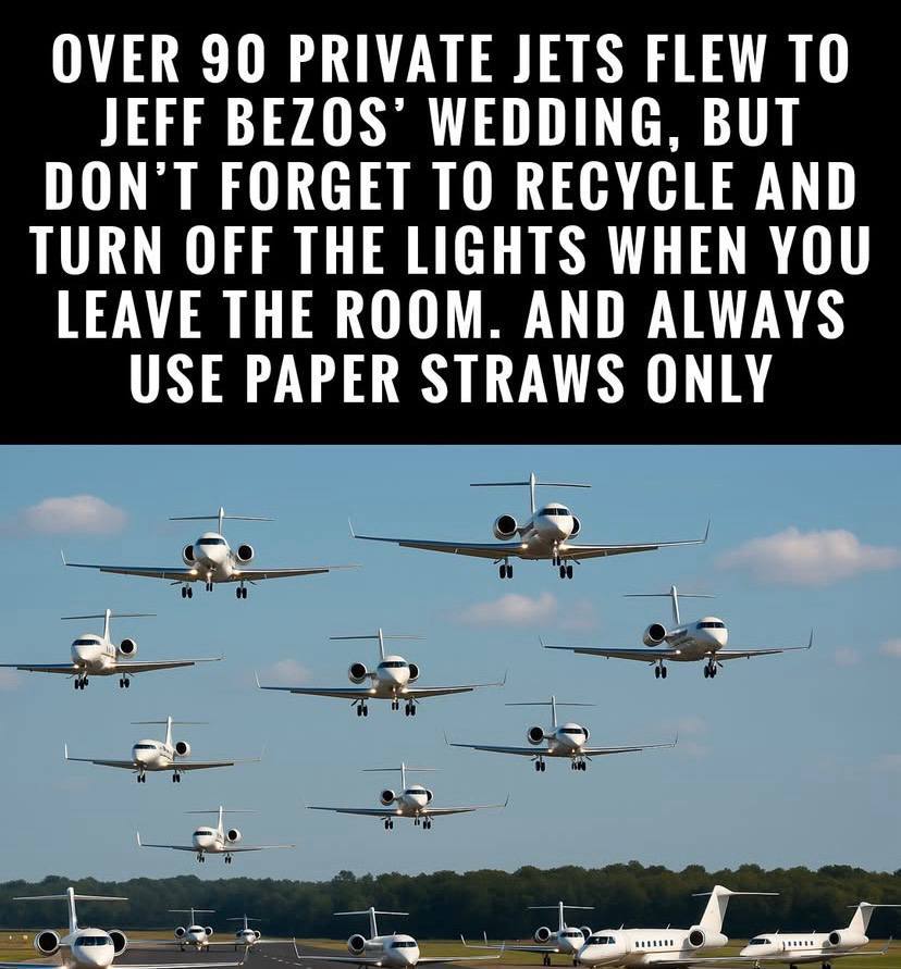 rabbitholebot tweet media