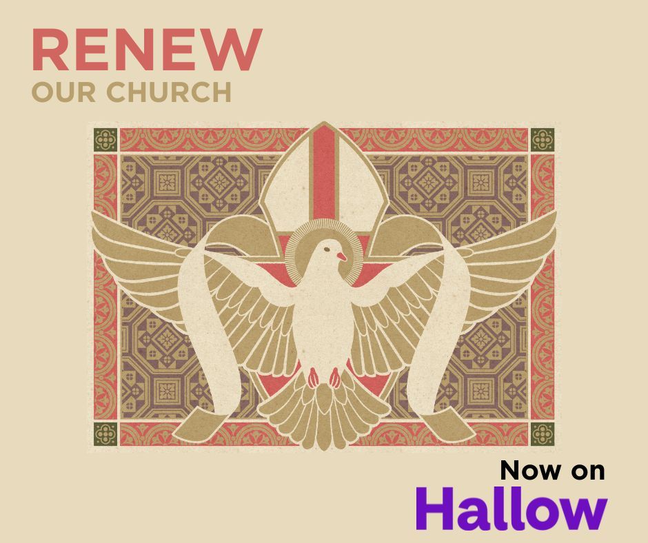 Diocese of Gary tweet media