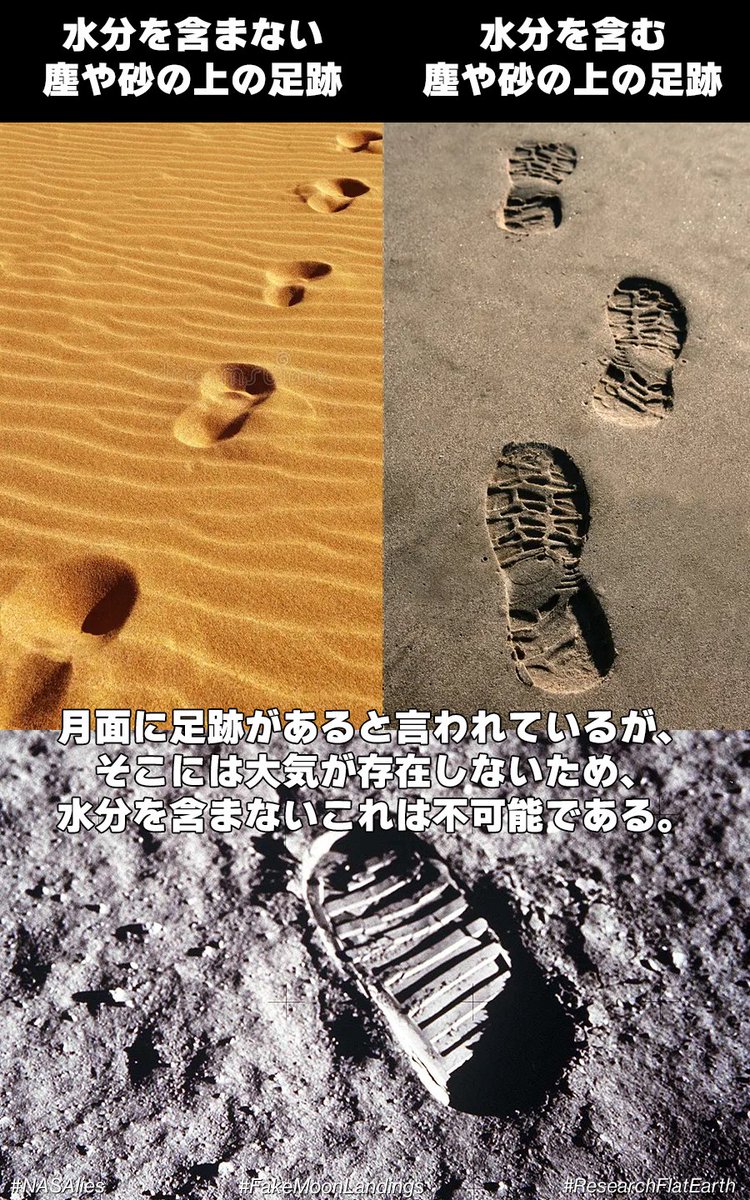 フラットアース🌎❌ tweet media