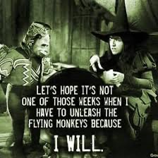 BigNoseKate tweet media