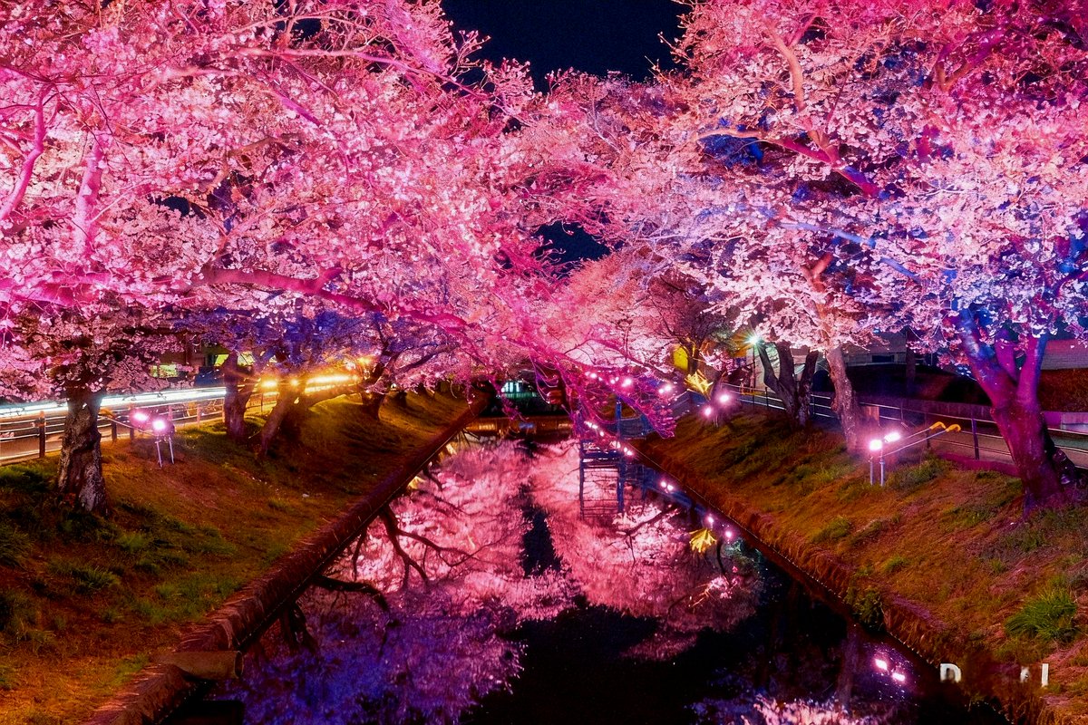 photo＠📷 tweet media