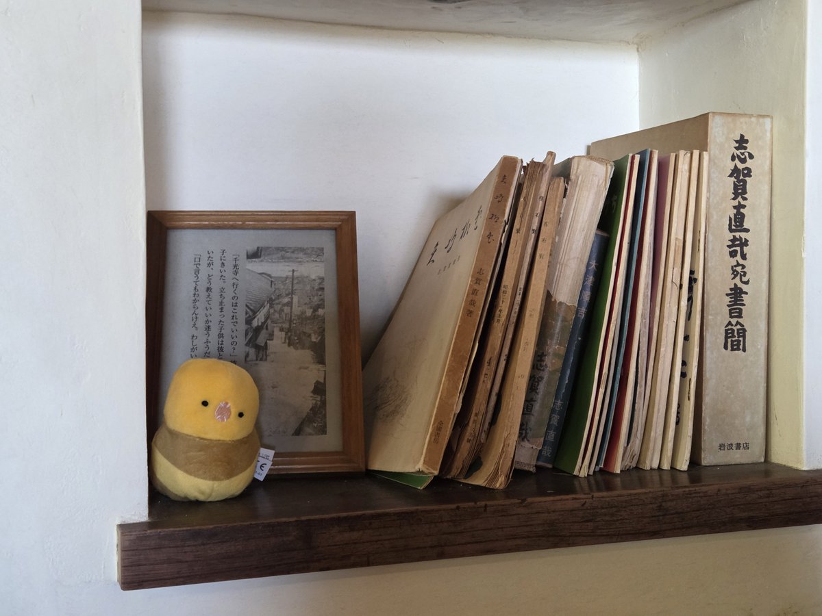 うさ耳//ぼんたや tweet media