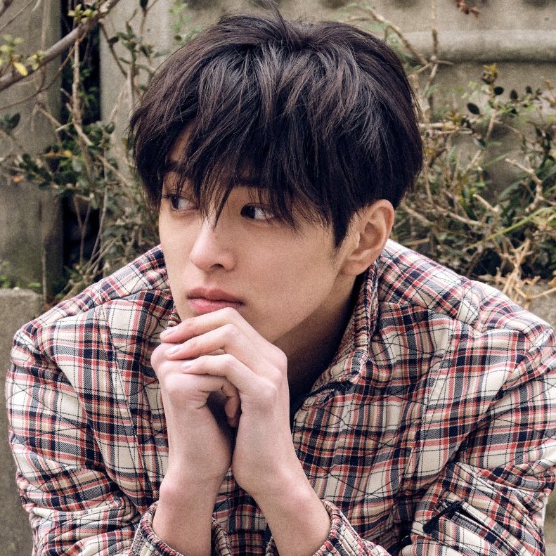 아롱이 tweet media