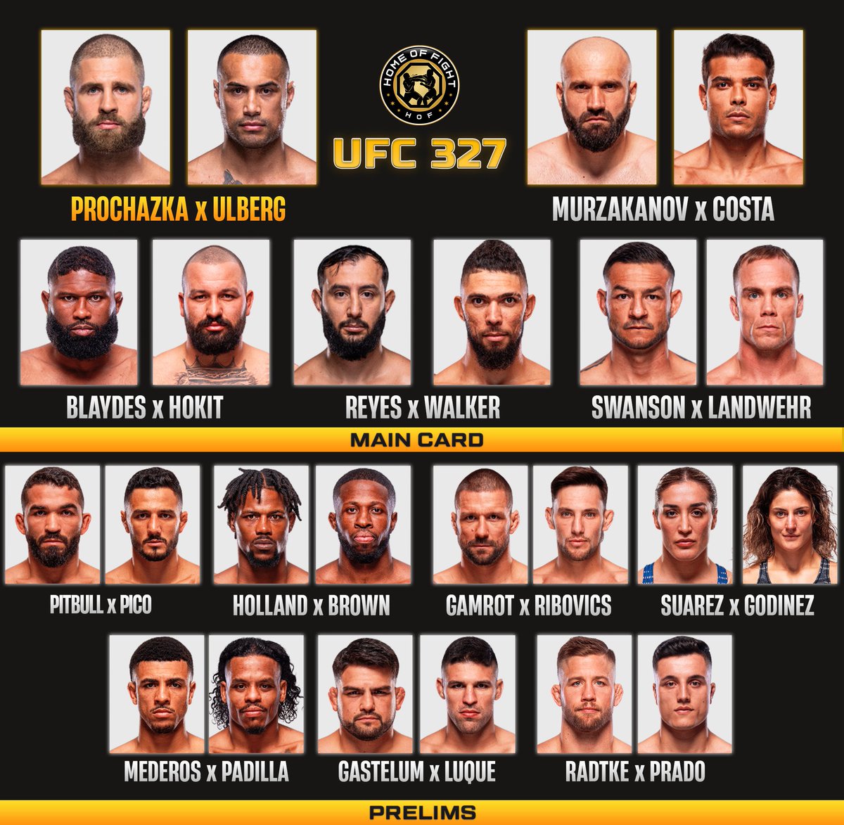 Home of Fight tweet media