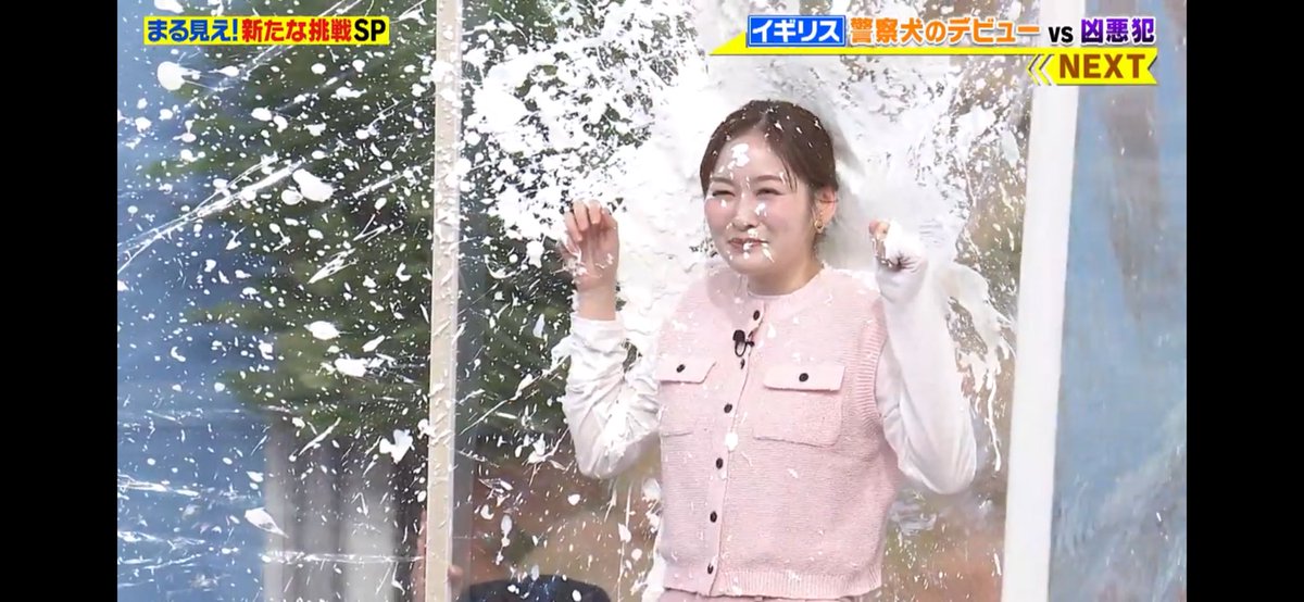 サクパイ@笑顔で狙い撃ち🥧パイ投げの名手・名古屋 tweet media