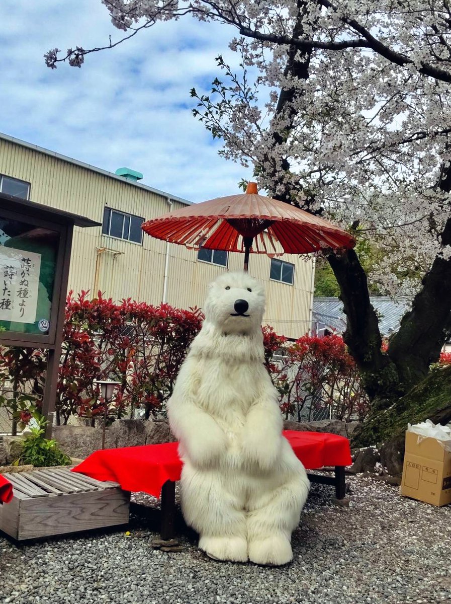 ここしばらく気管支炎で臥せっていたのですが、ようやく出歩けるようになり #なにわ人形芝居フェスティバル に行ってきました！ #人形劇団ししかばぶ さんの作品が、思わず「ぎゃー！」と客席が叫ぶスペクタクルで良かった。#燕組 さんの美術が怪しくて好きだった。ゴーゴくんもいた。良い一日だった。