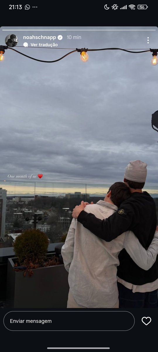 aviário wolfhard tweet media