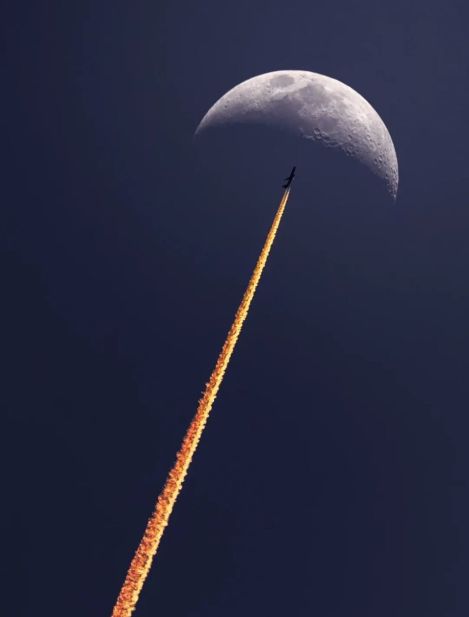 Aesthetics 𝕏 tweet media