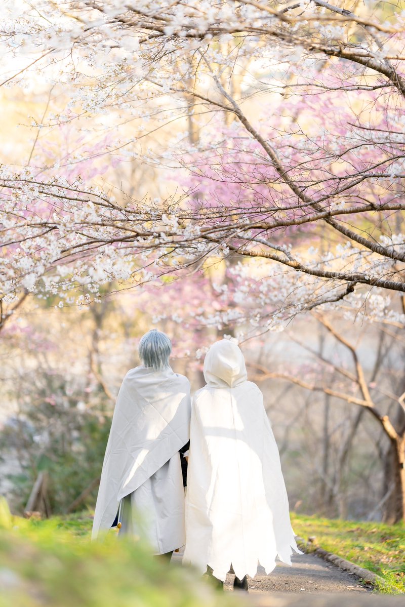 Yu・カメラ tweet media