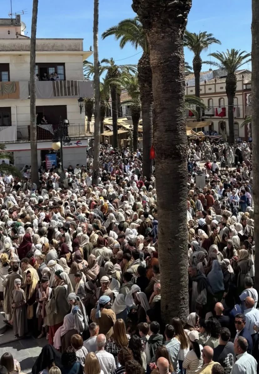 PASIÓN VIVIENTE tweet media