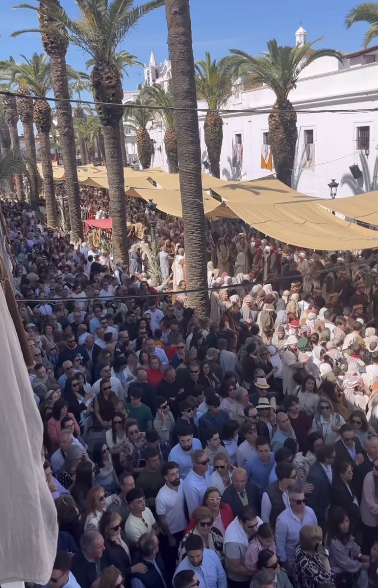 PASIÓN VIVIENTE tweet media