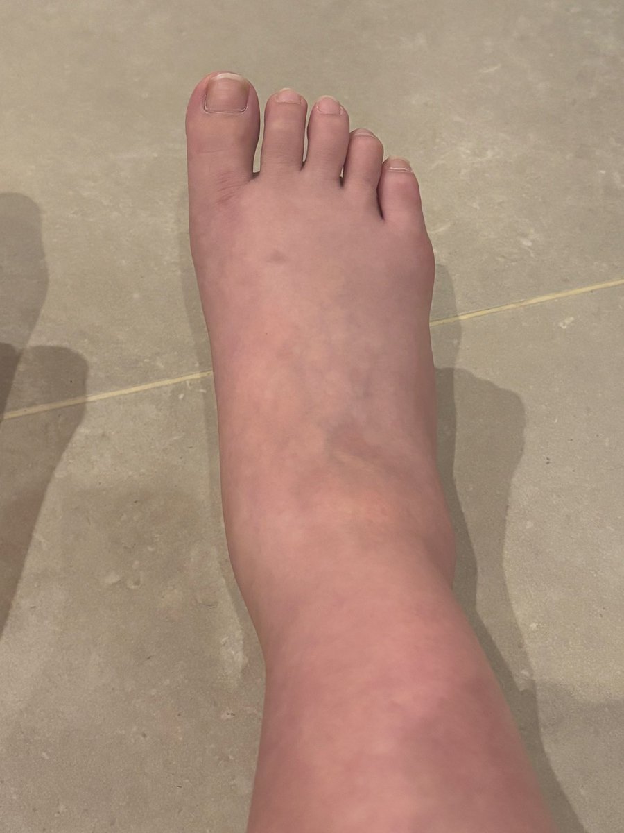 きなこ🎀ママ垢移行先bio tweet media