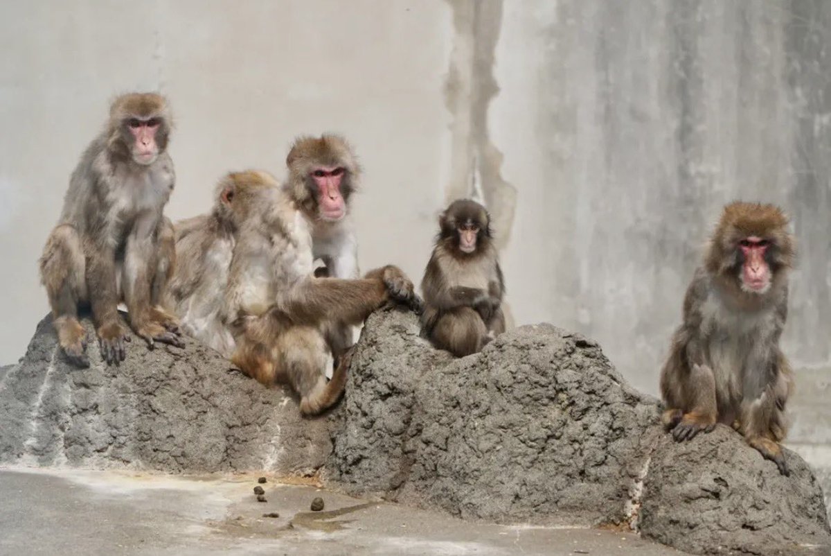 baekhyun_a tweet media