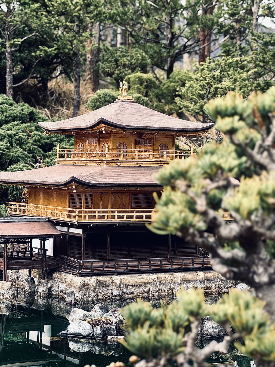 えくしあ tweet media