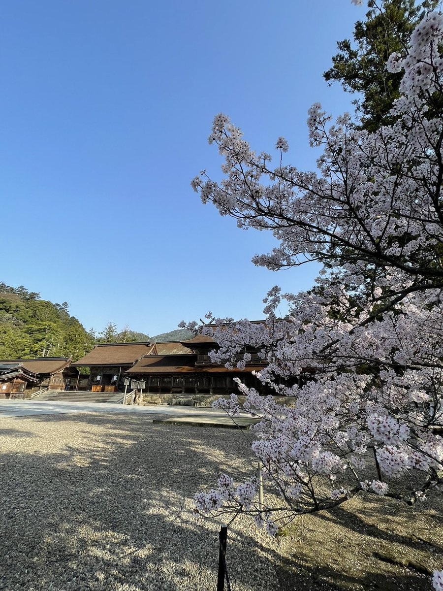 ちゃんちゃんこ🥔 tweet media