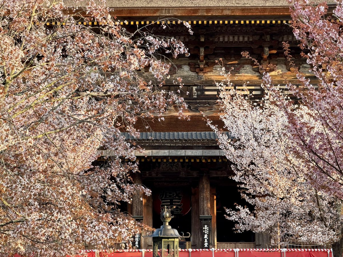 ヨシノマホ🦌奈良クリエイター tweet media