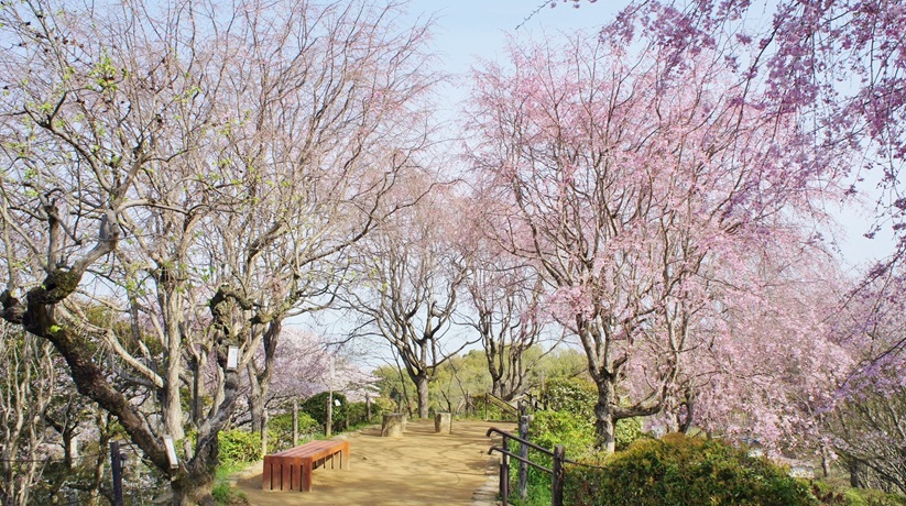 まるえつ tweet media