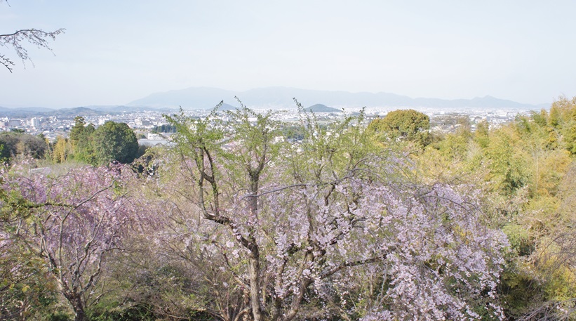 まるえつ tweet media