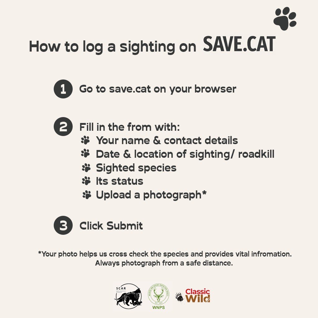 wnpssl's tweet photo. Sri Lanka’s smallest wild cats are out there—you just haven’t noticed them yet.
Spot. Record. Protect. Be part of the mission 👉 https://t.co/tXo802H1np

#SaveSmallCats #SriLanka #Conservation

@classictravels https://t.co/Na3kzkJyvP